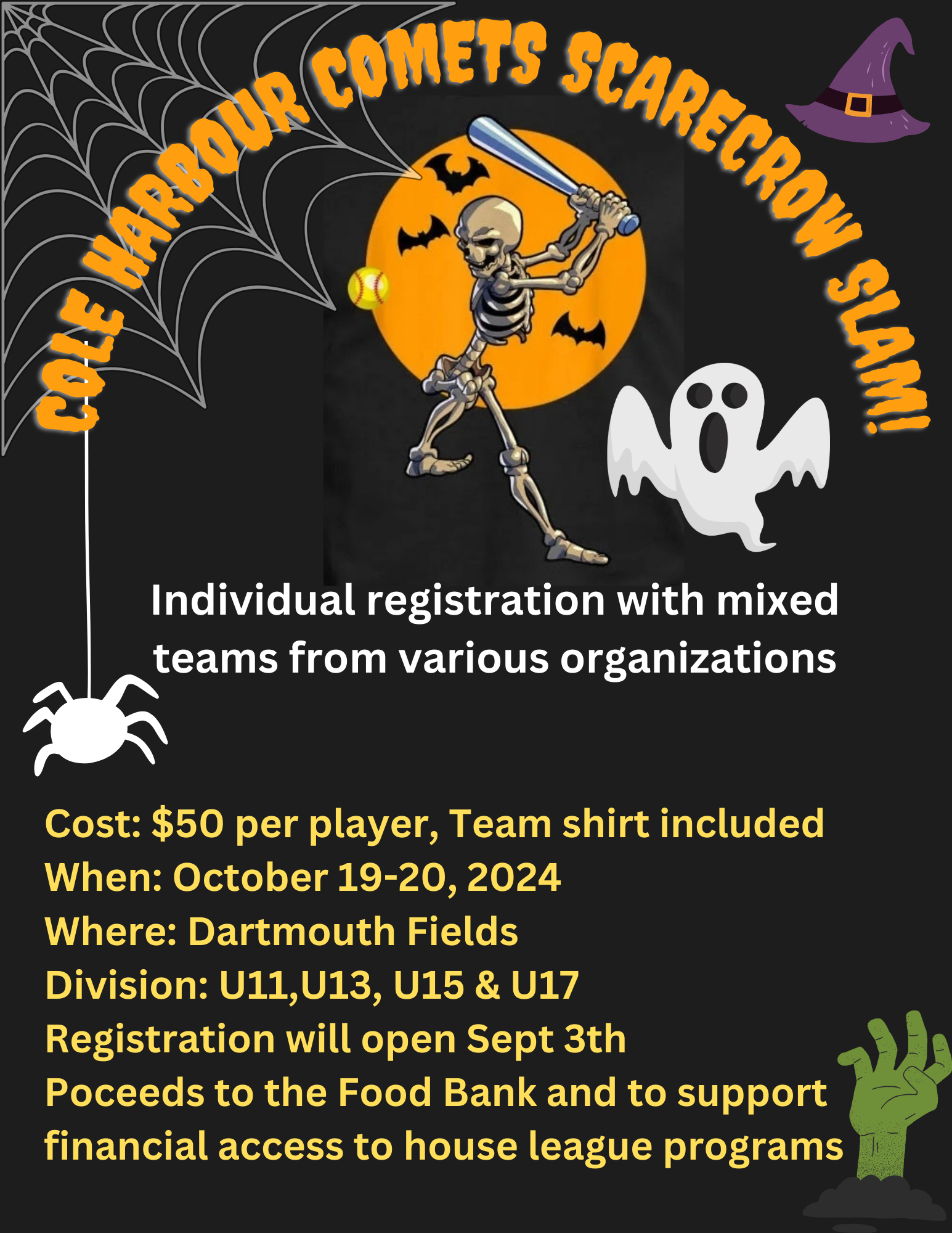 Softball Nova Scotia site by RAMP InterActive